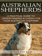 Australian Shepherds: A Practical Guide To Understanding & Caring For Your Australian Shepherd