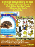 Sea Turtles & Cats