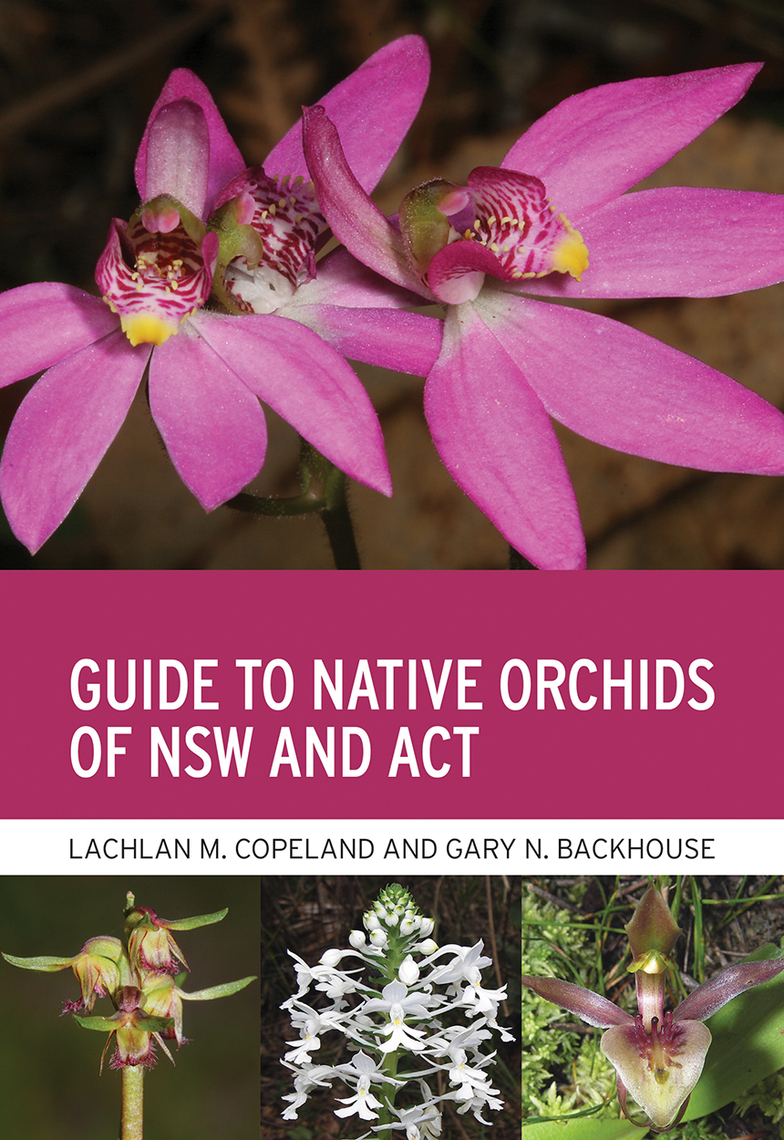 Guide to Native Orchids of NSW and ACT by Lachlan M. Copeland, Gary N.  Backhouse - Ebook | Scribd