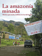 La amazonía minada: Minería a gran escala y conflictos en el sur del Ecuador