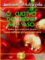 O Cultivo Do Piripiri No Vaso: Realiza O Teu Sonho Mais Picante "como Cultivar Piripiris Em Casa"