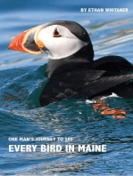 Every Bird in Maine: One Man's Journey to See Every Bird in Maine - A Photographic Account of a Maine Big Year in Birding