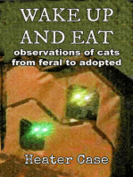 Wake Up And Eat: Observations Of Cats From Feral To Adopted