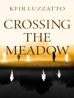 Crossing the Meadow