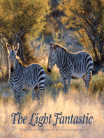 The Light Fantastic: The Wildlife Art Of David Langmead