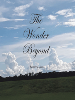 The Wonder Beyond