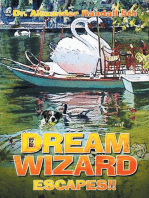 Dream Wizard