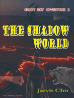 The Shadow World: -Crazy Boy Adventure(2)
