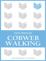 Cobweb Walking