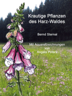 Krautige Pflanzen des Harz-Waldes: Mit Aquarellzeichnungen von Angela Peters