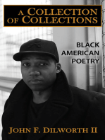 A Collection of Collections: Black American Poetry