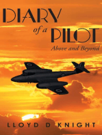 Diary of a Pilot: Above and Beyond