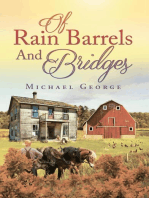 Of Rain Barrels and Bridges