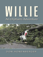 Willie: An Orphan’s Adventure