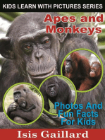 Apes and Monkeys Photos and Fun Facts for Kids