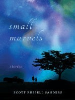 Small Marvels