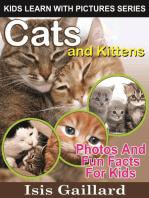 Cats and Kittens Photos and Fun Facts for Kids