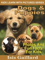 Dogs and Puppies Photos and Fun Facts for Kids