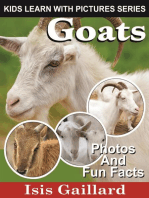 Goats Photos and Fun Facts for Kids