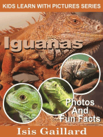 Iguanas Photos and Fun Facts for Kids