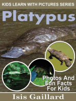 Platypus Photos and Fun Facts for Kids