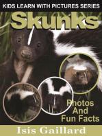 Skunks Photos and Fun Facts for Kids