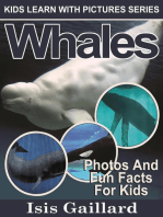 Whales Photos and Fun Facts for Kids