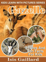 Gazelle Photos and Fun Facts for Kids