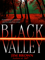 Black Valley