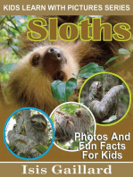 Sloths Photos and Fun Facts for Kids