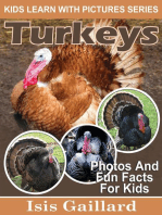 Turkey Photos and Fun Facts for Kids