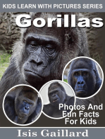 Gorillas Photos and Fun Facts for Kids