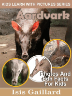 Aardvarks Photos and Fun Facts for Kids