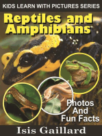 Reptiles and Amphibians Photos and Fun Facts for Kids