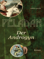 Der Androgyn: Roman