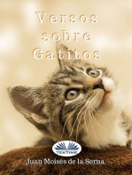 Versos Sobre Gatitos