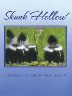 Skunk Hollow