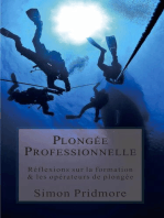 Plongée Professionnelle - Réflexions sur la formation & les opérateurs de plongée: La Série Plongée, #4