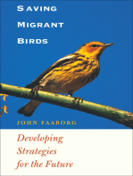 Saving Migrant Birds: Developing Strategies for the Future