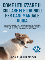 Come Utilizzare Il Collare Elettronico Per Cani Manuale Guida: Modalità E Fasi Per L’addestramento Canino