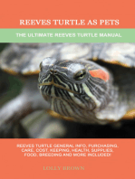 Reeves Turtle as Pets