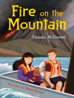 Fire on the Mountain