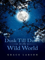 Dusk Till Dawn In The Wild World