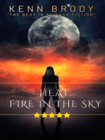 HEAT: Fire in the Sky