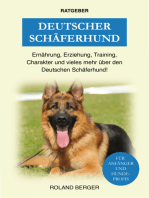 Deutscher Schäferhund: Erziehung, Ernährung, Training, Charakter und vieles mehr über den Schäferhund