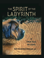 The Spirit of the Labyrinth