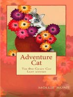 Adventure Cat: Crazy Cat Lady cozy mysteries, #8