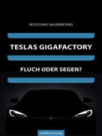 Teslas Gigafactory: Fluch oder Segen?