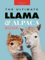 Llamas & Alpacas