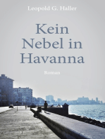 Kein Nebel in Havanna: Roman